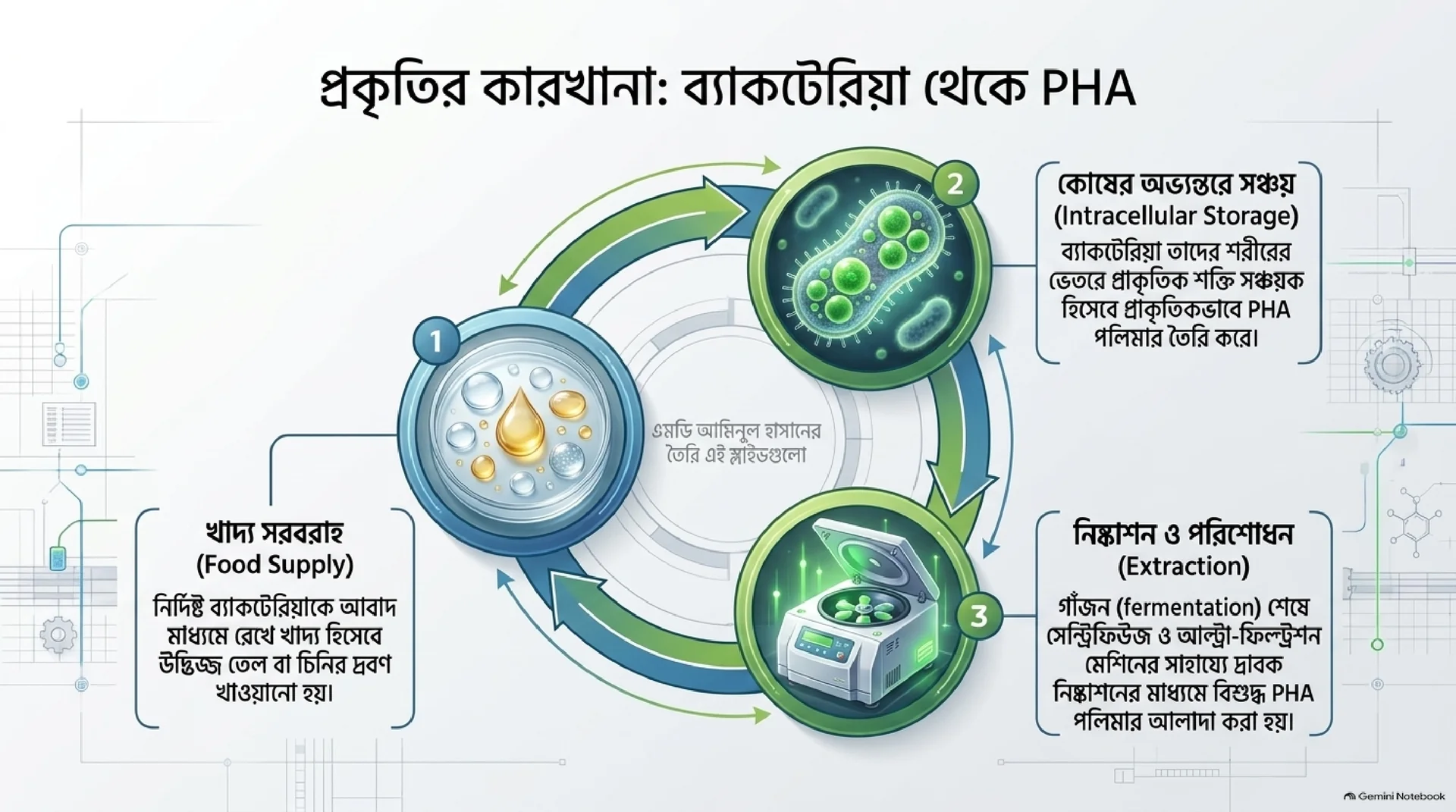Slide 3: Process Flowchart